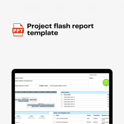 Project flash report template